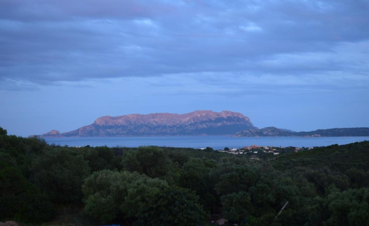Appartement Sa Domitta Di Suiles à Olbia Extérieur photo